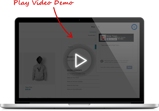 Play Video Demo on Youtube Now